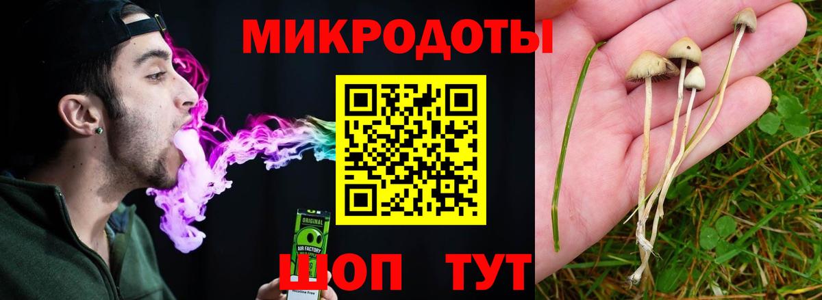 Галлюциногенные грибы Psilocybine cubensis Славянск-на-Кубани