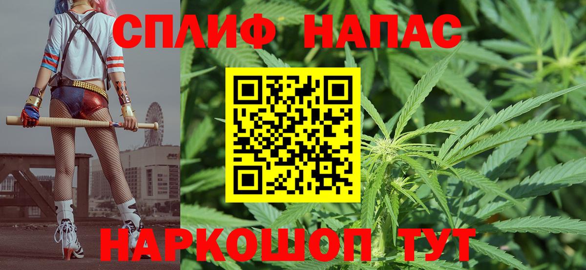 Конопля гибрид Славянск-на-Кубани